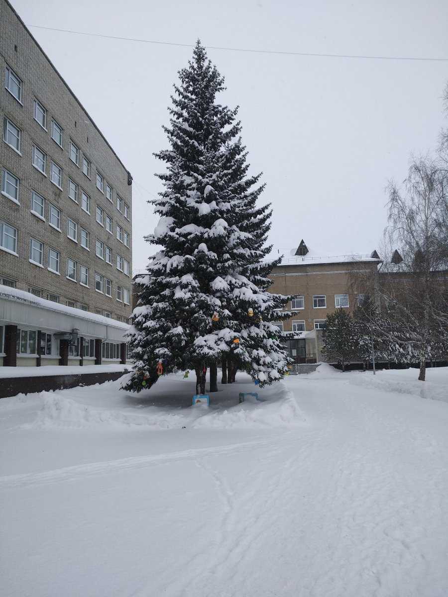 Алтайский Краевой Клинический Центр Охраны Материнства и Детства фото 1